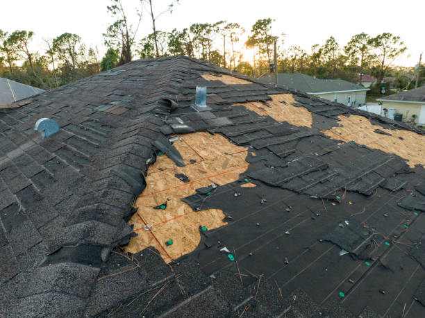 Best Storm Damage Roof Repair  in Redland, AL
