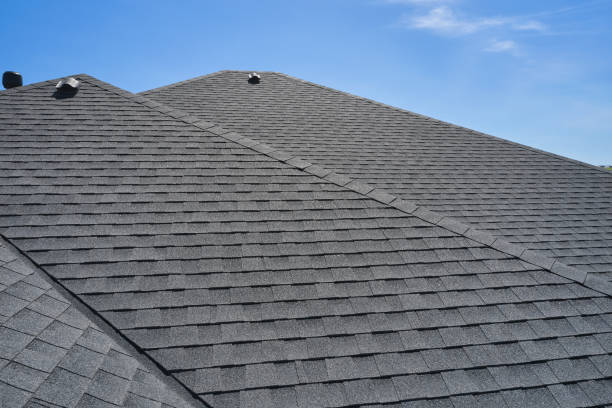 Best Skylight Installation and Repair  in Redland, AL